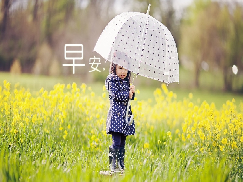 王女士成功案例